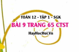 Bài 9 trang 65 Toán 12 tập 1 Chân trời sáng tạo